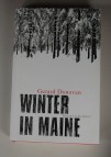 Winter in Maine