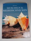 Muscheln & Meeresschnecken