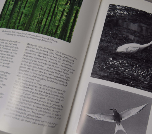 Natur im Sucher - Landschaften, Pflanzen und Tiere fotografiert